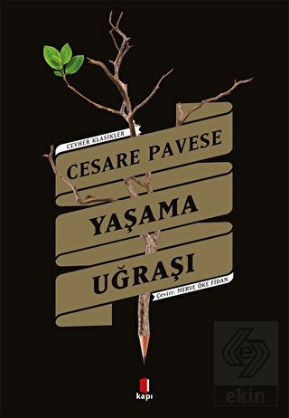Ekin Kitap