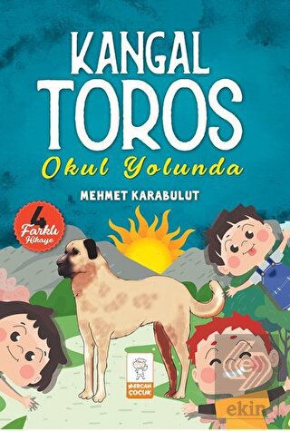 Ekin Kitap