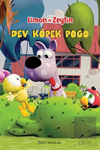 Ekin Kitap