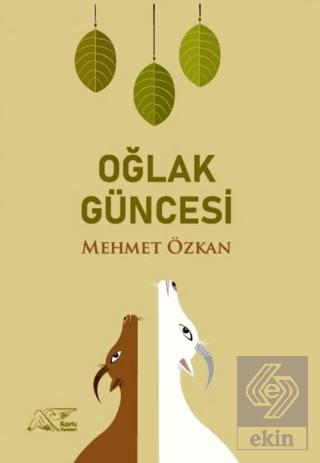 Ekin Kitap