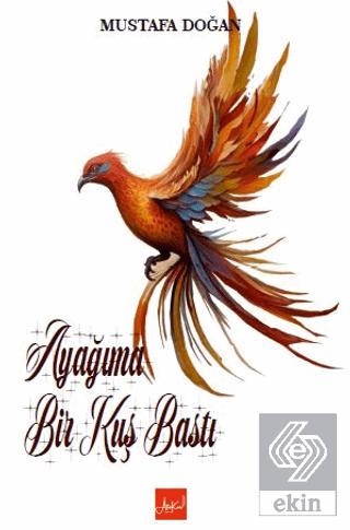 Ekin Kitap