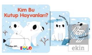 Keçeli Hayvanlar