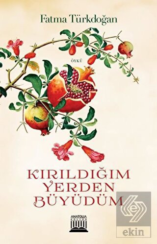 Ekin Kitap