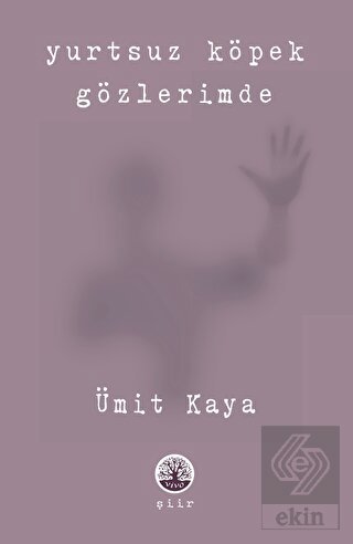Yurtsuz Köpek Gözlerimde