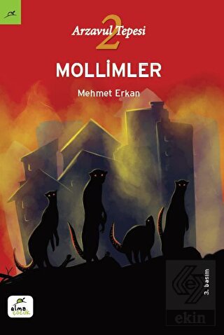 Ekin Kitap
