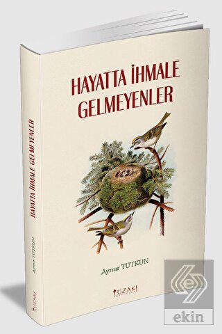 Ekin Kitap