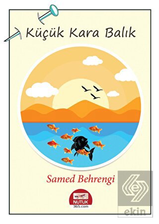 Ekin Kitap