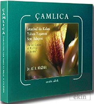 Çamlıca İstanbul da Kalan Yaban Yaşamın Son Bahçesi