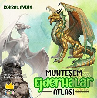 Ekin Kitap