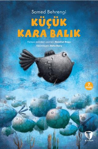 Kitap Ekspres