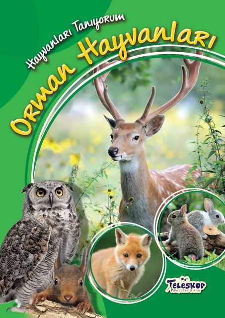 Kitap Ekspres