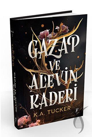 Kitap Ekspres