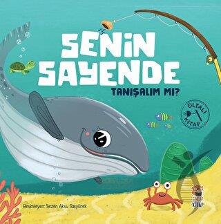 Kitap Ekspres