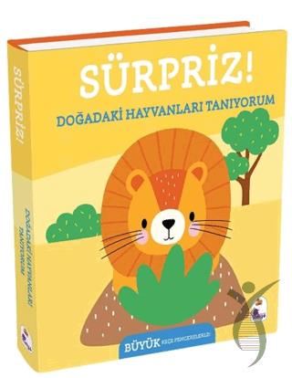 Kitap Ekspres