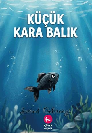Kitap Ekspres