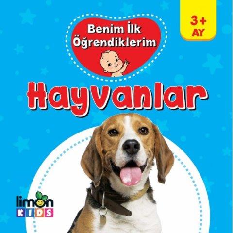 Kitap Ekspres