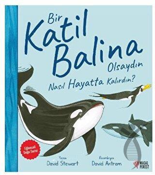 Kitap Ekspres