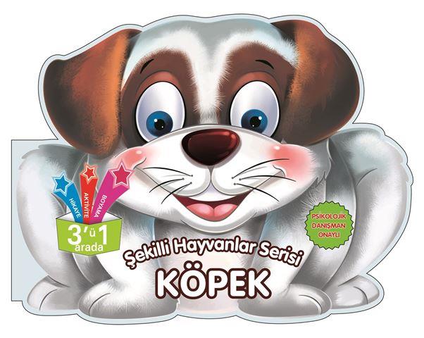Kitap Ekspres