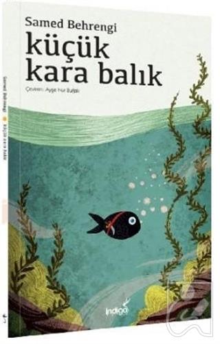 Kitap Ekspres