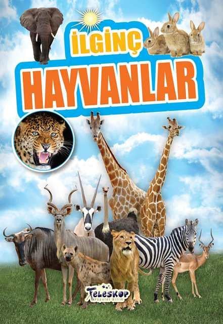 Kitap Ekspres