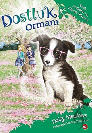 Kitap Ekspres