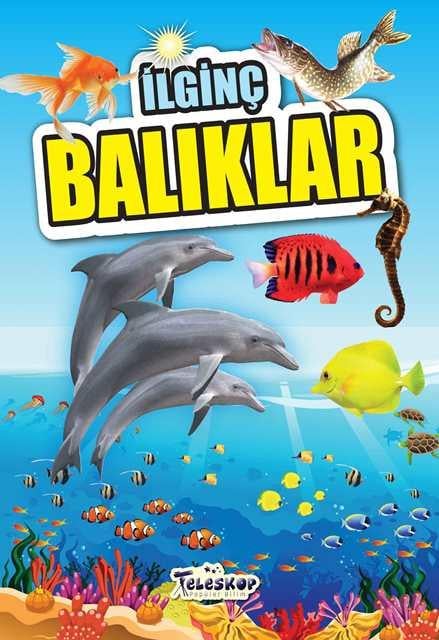 Kitap Ekspres