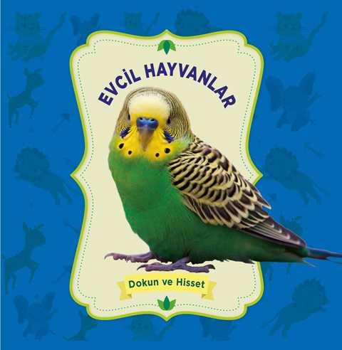Kitap Ekspres