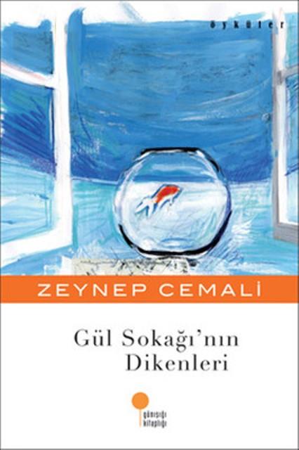 Kitap Ekspres