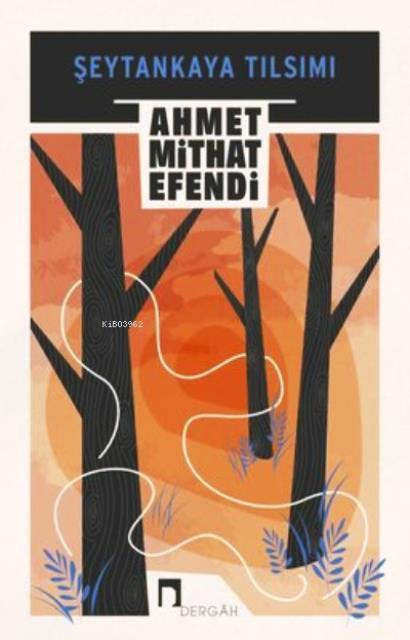 Kitap Ekspres