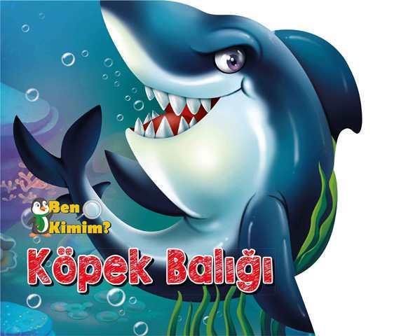 Kitap Ekspres