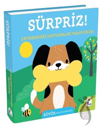 Kitap Ekspres