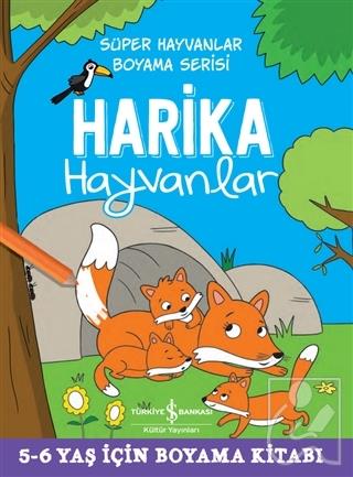 Kitap Ekspres