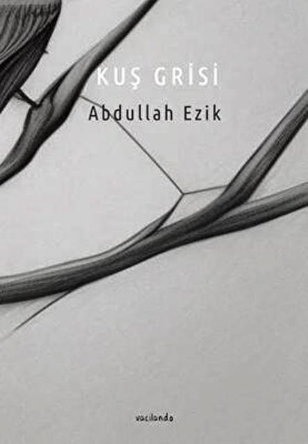 Kitap Ekspres