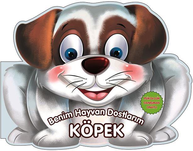 Kitap Ekspres