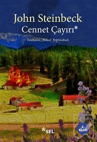Cennet Çayırı