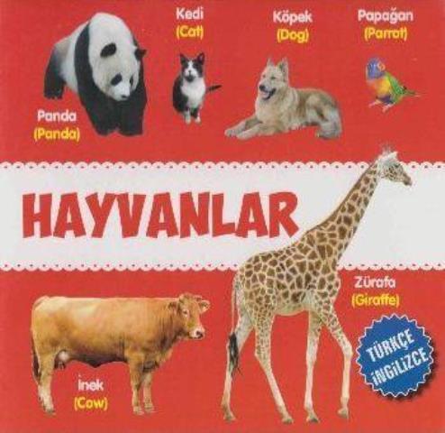 Kitap Ekspres