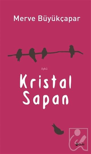 Kitap Ekspres