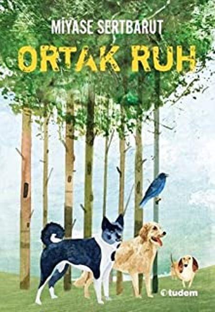 Kitap Ekspres