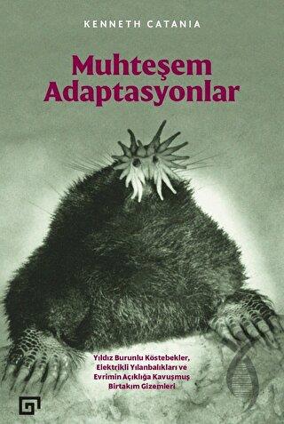 Kitap Ekspres