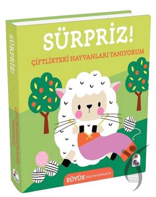 Kitap Ekspres