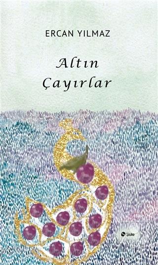 Kitap Ekspres
