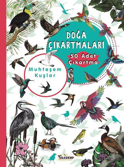 Kitap Ekspres