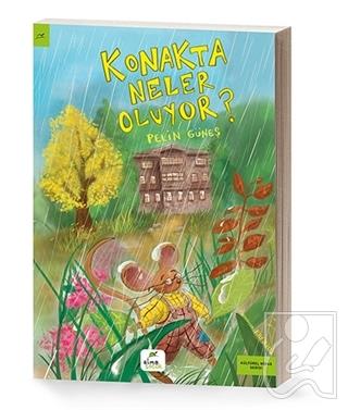 Kitap Ekspres