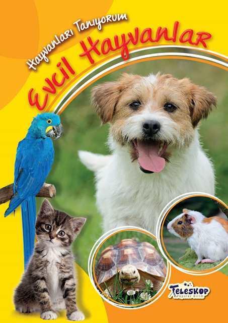 Kitap Ekspres