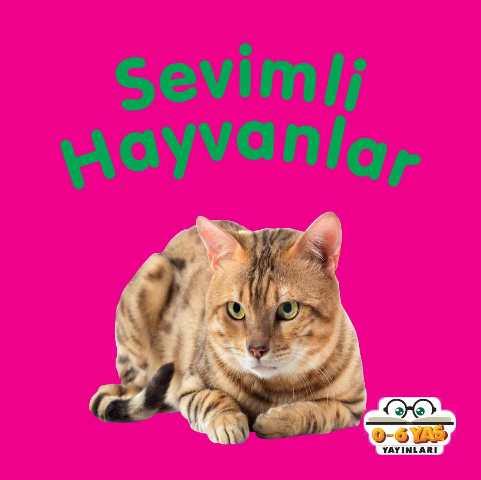 Kitap Ekspres