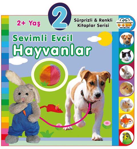 Kitap Ekspres