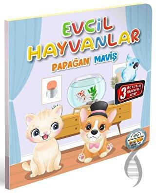 Kitap Ekspres