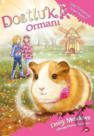 Kitap Ekspres