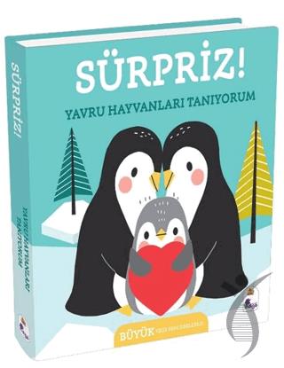 Kitap Ekspres