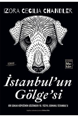 İstanbul un Gölge si